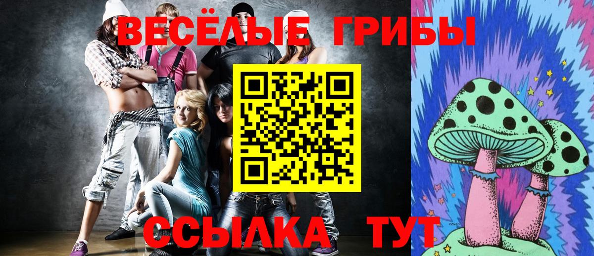 Псилоцибиновые грибы мухоморы Вязники