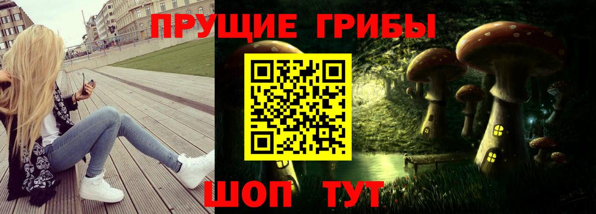 Вязники  Псилоцибиновые грибы прущие грибы  сколько стоит  Галлюциногенные грибы Psilocybine cubensis  Вход с VPN 